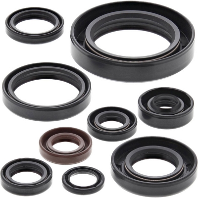 WRP 822268 Oil Seal Kit