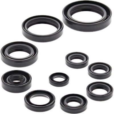 WRP 822270 Oil Seal Kit