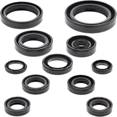 WRP 822271 Oil Seal Kit