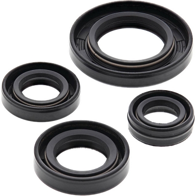 WRP 822272 Oil Seal Kit