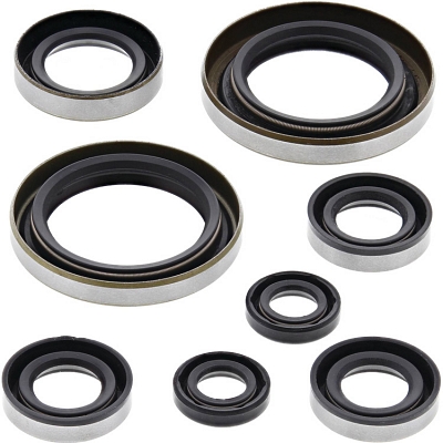 WRP 822274 Oil Seal Kit