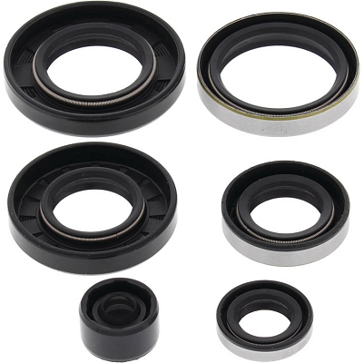 WRP 822281 Oil Seal Kit