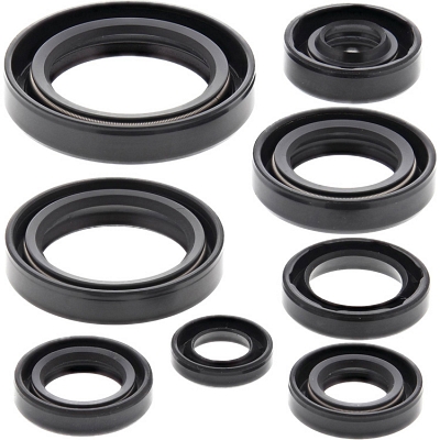 WRP 822283 Oil Seal Kit