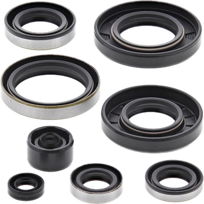 WRP 822284 Oil Seal Kit