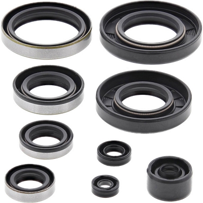 WRP 822285 Oil Seal Kit