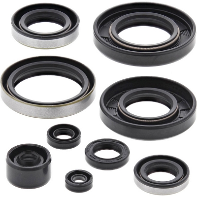 WRP 822286 Oil Seal Kit