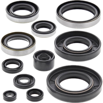 WRP 822288 Oil Seal Kit