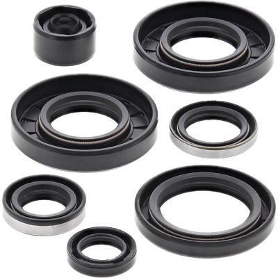 WRP 822291 Oil Seal Kit
