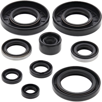 WRP 822292 Oil Seal Kit