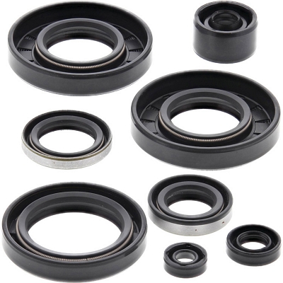 WRP 822293 Oil Seal Kit