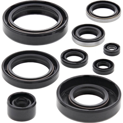 WRP 822294 Oil Seal Kit