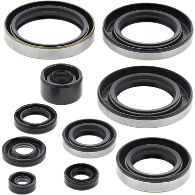 WRP 822295 Oil Seal Kit