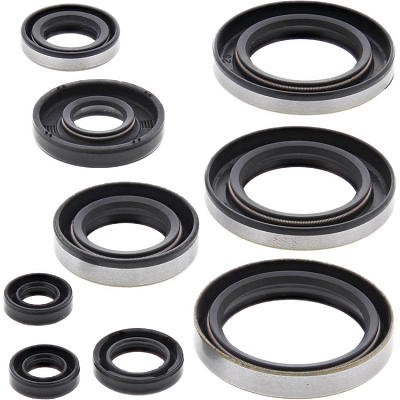 WRP 822296 Oil Seal Kit