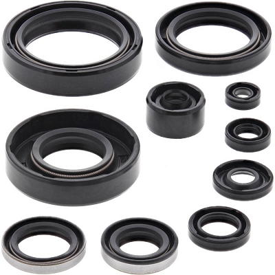 WRP 822298 Oil Seal Kit