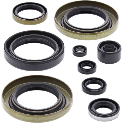 WRP 822302 Oil Seal Kit