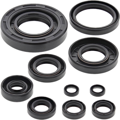 WRP 822304 Oil Seal Kit