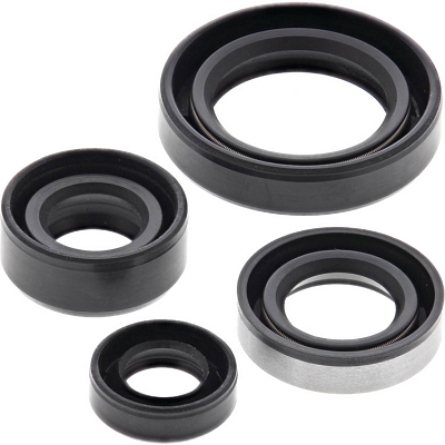 WRP 822309 Oil Seal Kit