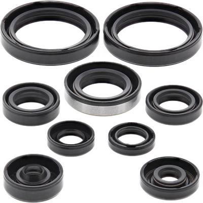WRP 822316 Oil Seal Kit