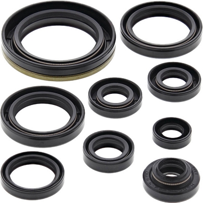 WRP 822324 Oil Seal Kit