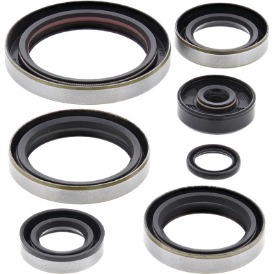 WRP 822326 Oil Seal Kit