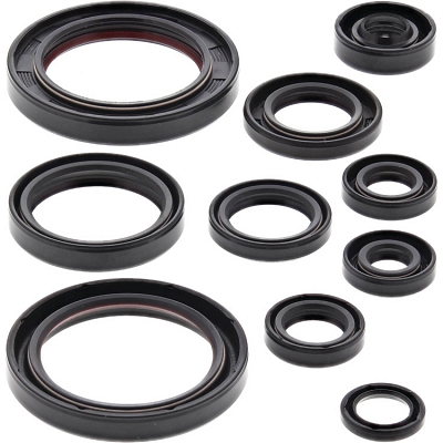 WRP 822330 Oil Seal Kit