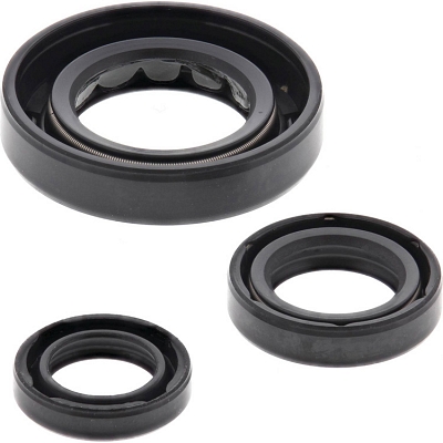 WRP 822331 Oil Seal Kit