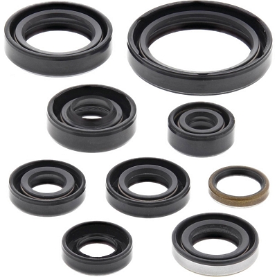 WRP 822336 Oil Seal Kit