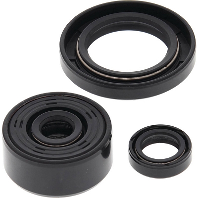 WRP 822339 Oil Seal Kit