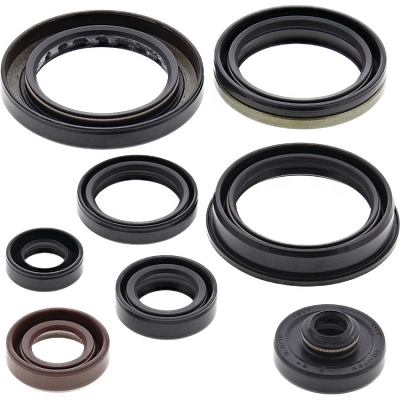 WRP 822346 Oil Seal Kit