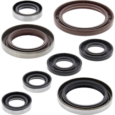 WRP 822356 Oil Seal Kit