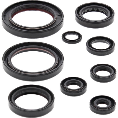 WRP 822357 Oil Seal Kit