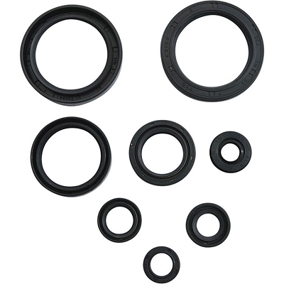 WRP 822378 Oil Seal Kit