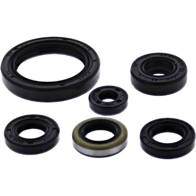 WRP 822379 Oil Seal Kit
