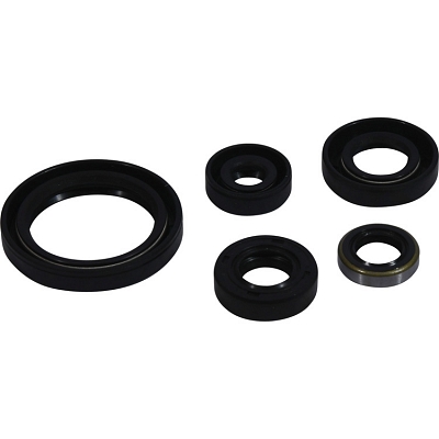 WRP 822380 Oil Seal Kit