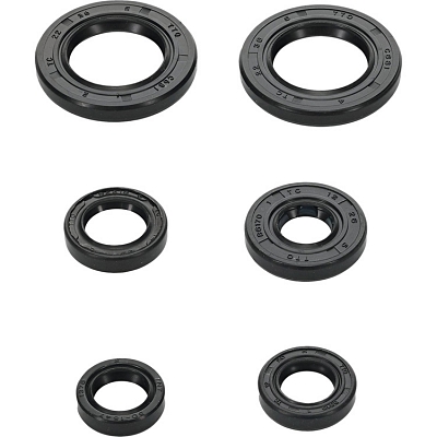WRP 822391 Oil Seal Kit