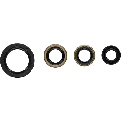 WRP 822399 Oil Seal Kit