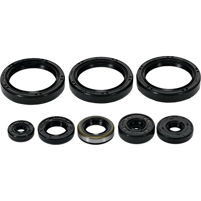 WRP 822403 Oil Seal Kit