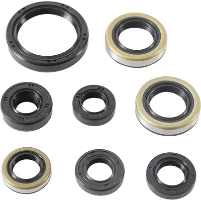 WRP 822485 Oil Seal Kit
