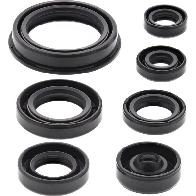 WRP 822690 Oil Seal Kit