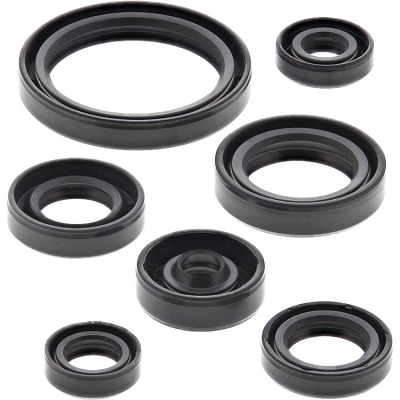 WRP 822692 Oil Seal Kit