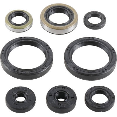 WRP 822977 Oil Seal Kit