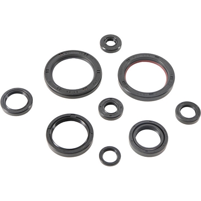 WRP 822989 Oil Seal Kit
