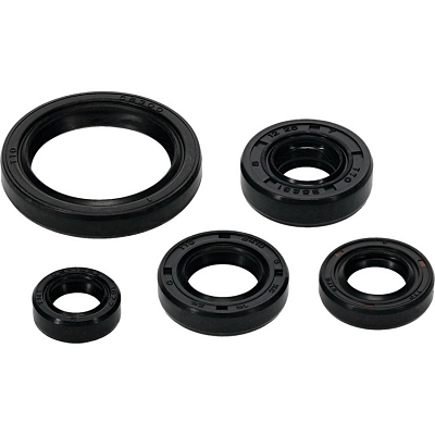 WRP 822994 Oil Seal Kit