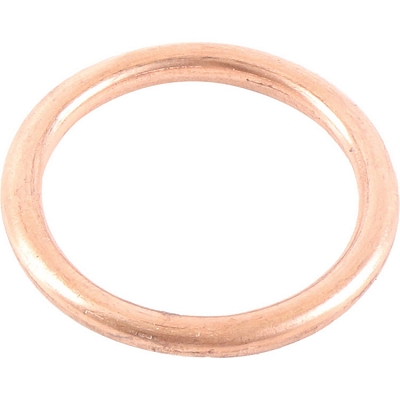 WRP 823055 Exhaust Gasket Kit