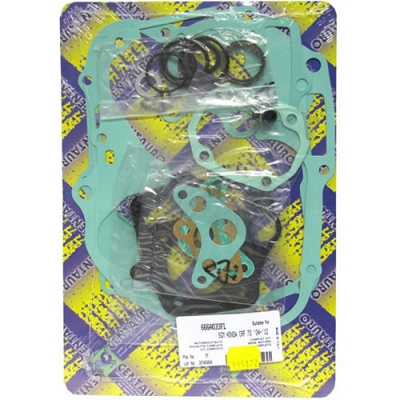 Engine Gasket Set - 009861