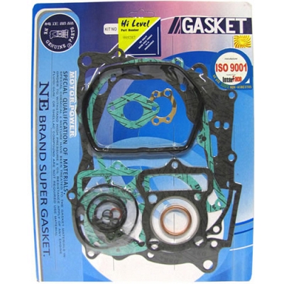 Engine Gasket Set - 009891