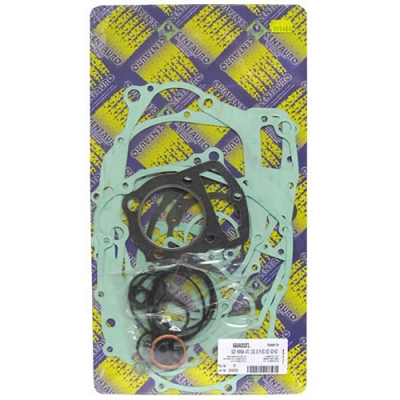 Engine Gasket Set - 009948