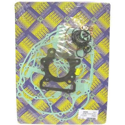 Engine Gasket Set - 009956