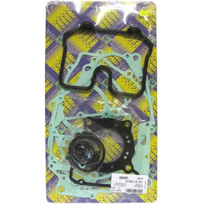 Engine Gasket Set - 009983