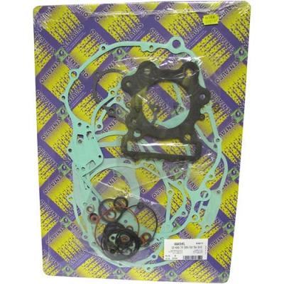Engine Gasket Set - 009991